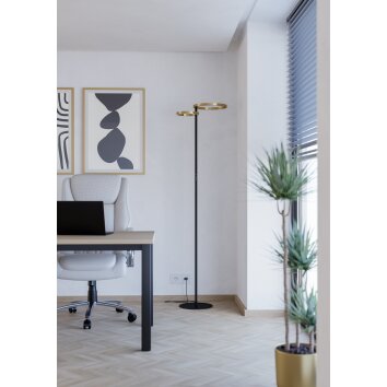 Eglo lights EGLO floor lamp LED brass