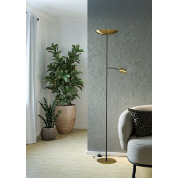 Eglo lights CONIVARINO floor lamp LED brass, black