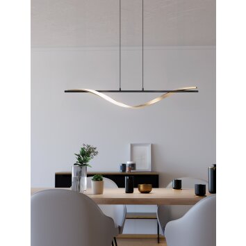 Eglo lights CONAPRATO hanging light LED brass, black