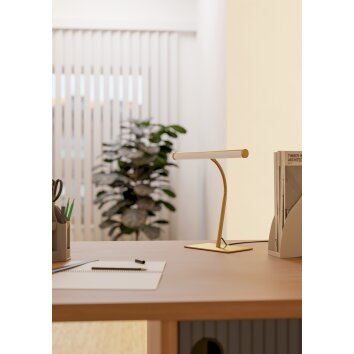 Eglo lights RICCIONE table lamp LED brass
