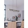 Eglo lights BOYAL hanging light LED brown, black