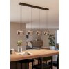 Eglo lights HORTUNAS hanging light LED black