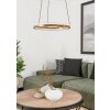 Eglo lights MEZZOMONTE hanging light LED bronze, black, Remote control