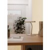 Eglo lights RICCIONE table lamp LED matt nickel