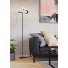 Eglo lights CASTELPOTO floor lamp LED black