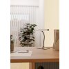 Eglo lights RICCIONE table lamp LED matt nickel