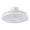 Eglo lights mit Ceiling fan light LED matt white, Remote control, Colour changer
