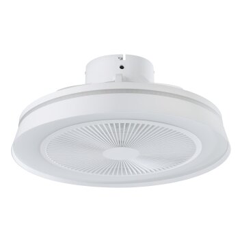 Eglo lights mit Ceiling fan light LED matt white, Remote control, Colour changer