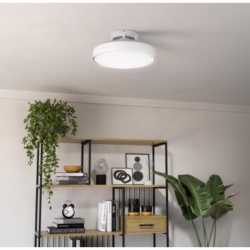 Eglo lights mit Ceiling fan light LED matt white, Remote control