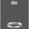 Paul Neuhaus Q-VITO Pendant Light LED stainless steel, 1-light source, Remote control