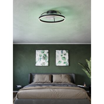 Eglo lights mit Ceiling fan light LED black, Remote control, Colour changer