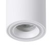 Eglo lights CAROSSO-Z ceiling light LED white