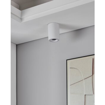 Eglo lights CAROSSO-Z ceiling light LED white
