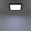 Eglo lights 6-Z ceiling light LED black, Colour changer