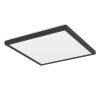 Eglo lights ROVITO-Z ceiling light LED black, Colour changer