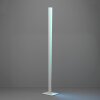 Eglo lights BOLOGNANO-Z floor lamp LED grey, Colour changer