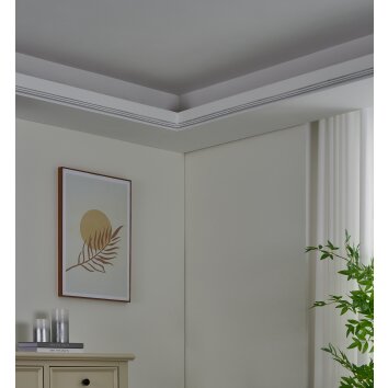 Eglo lights NEON-STRIPE-Z LED strips LED white, Colour changer