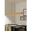 Eglo lights ANCHORENA-Z hanging light LED brown, black, Colour changer
