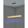 Eglo lights ANCHORENA-Z hanging light LED brown, black, Colour changer