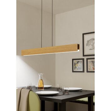 Eglo lights ANCHORENA-Z hanging light LED brown, black, Colour changer