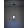 Eglo lights MOLOCHIO-Z hanging light LED black, Colour changer
