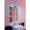Eglo lights REGELLO-Z mirror light LED black, Colour changer