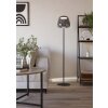 Eglo lights ALFERO-Z floor lamp LED black, Colour changer