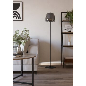 Eglo lights ALFERO-Z floor lamp LED black, Colour changer