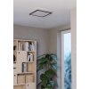 Eglo lights MORADILLO-Z ceiling light LED black, Colour changer