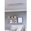 Eglo lights MORADILLO-Z ceiling light LED white, Colour changer