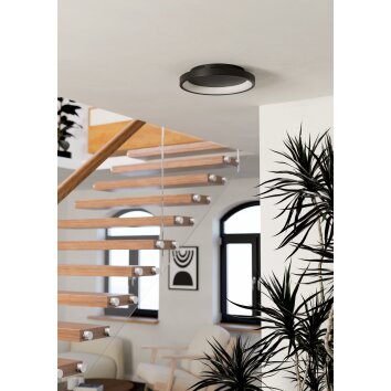Eglo lights LORETELLO-Z ceiling light LED black, Colour changer