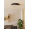 Eglo lights GALLIZZI-Z ceiling light LED black, Colour changer