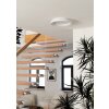 Eglo lights LORETELLO-Z ceiling light LED white, Colour changer