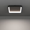 Eglo lights LORETELLO-Z ceiling light LED black, Colour changer