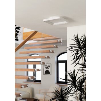 Eglo lights LORETELLO-Z ceiling light LED white, Colour changer
