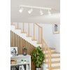 Eglo lights MELITELLO-Z ceiling light, ceiling spotlight LED white, Colour changer