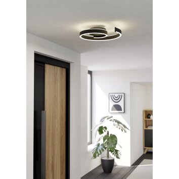 Eglo lights ANDABAIA-Z ceiling light LED black