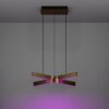 Eglo lights FOLCINO-Z hanging light LED bronze, black, Colour changer