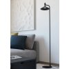 Eglo lights CONOMAVILLA-Z floor lamp LED black, Colour changer
