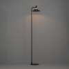 Eglo lights CONOMAVILLA-Z floor lamp LED black, Colour changer