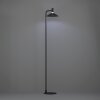 Eglo lights CONOMAVILLA-Z floor lamp LED black, Colour changer