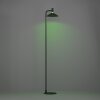 Eglo lights CONOMAVILLA-Z floor lamp LED black, Colour changer