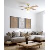 Eglo lights & Ceiling fan light bronzed