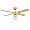 Eglo lights & Ceiling fan light bronzed