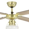 Eglo lights & Ceiling fan light bronzed