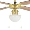 Eglo lights & Ceiling fan light bronzed