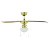 Eglo lights & Ceiling fan light bronzed