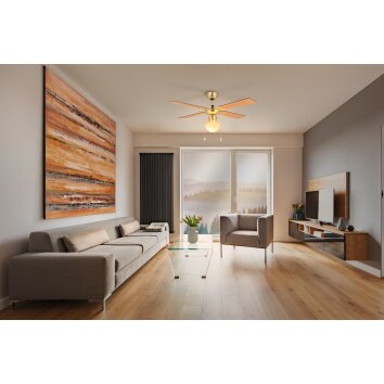 Eglo lights & Ceiling fan light bronzed