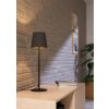 Eglo lights FIORANA table lamp black