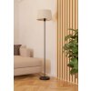 Eglo lights FEBRES floor lamp black